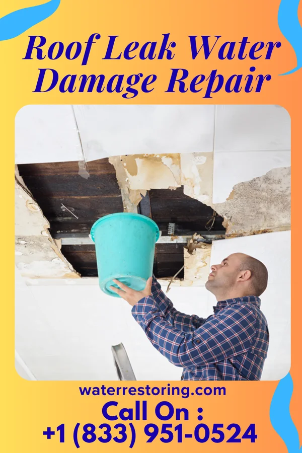 Roof Leak Water Damage Repair in Thawville, IL