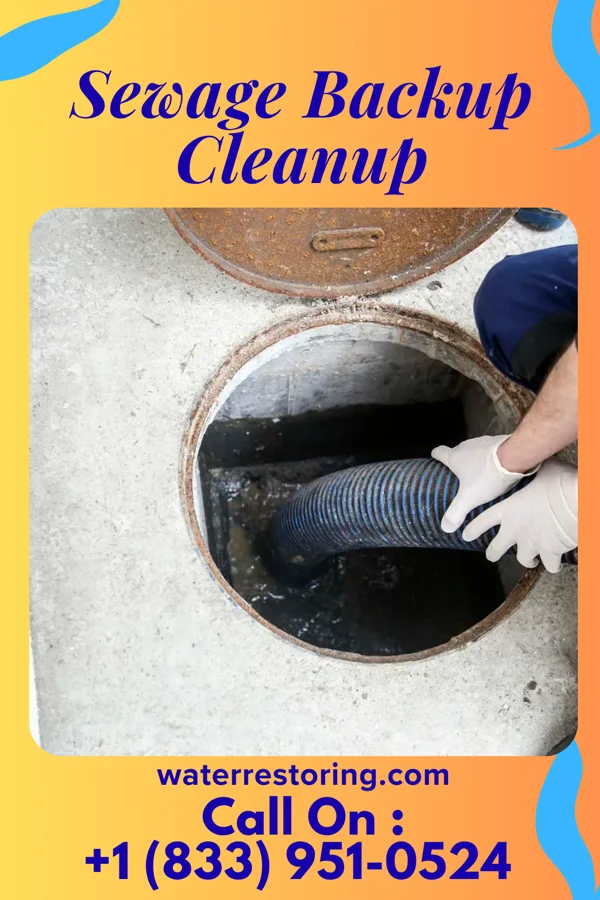 Sewage Backup Cleanup in Thawville, IL